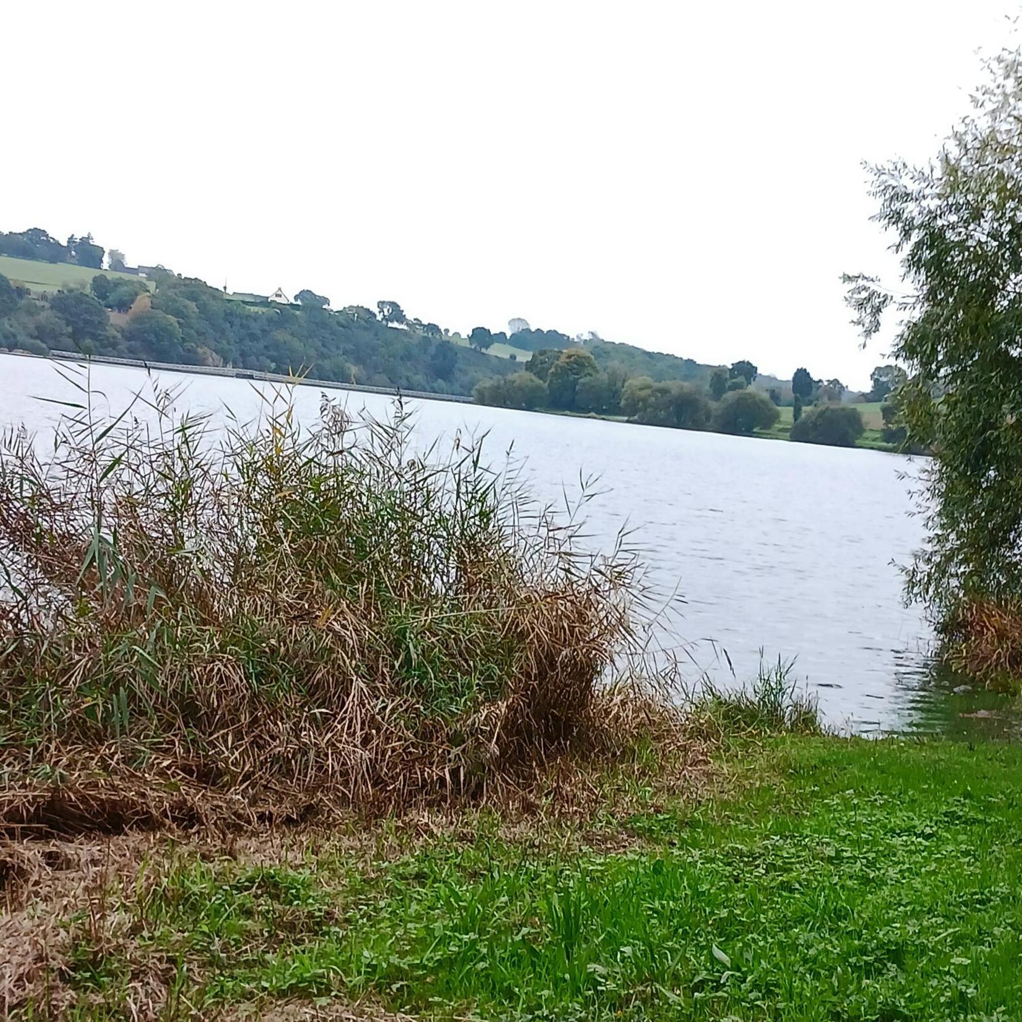 Gite En Campagne Lamegritniere Kültér fotó